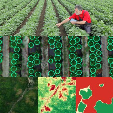 imagem envi Crop Science